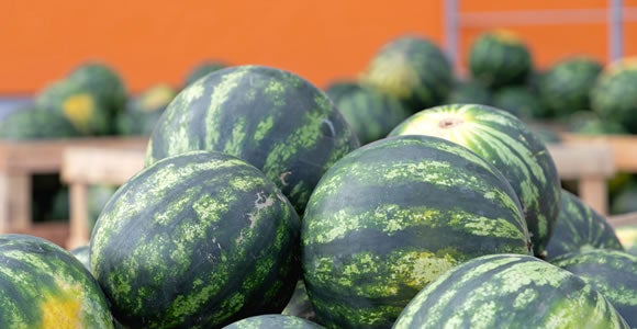 Several large, striped Melon 1 watermelons are stacked on wooden pallets outdoors, with more watermelons in the background and an orange wall visible behind them—freshly unloaded from refrigerated freight.