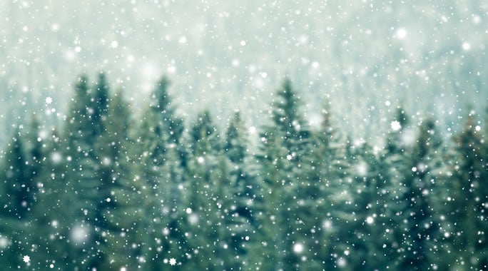 A snowy forest scene with evergreen trees blurred in the background and snowflakes gently falling in the foreground, capturing a soft, wintry atmosphere perfect for holiday shipping visuals.