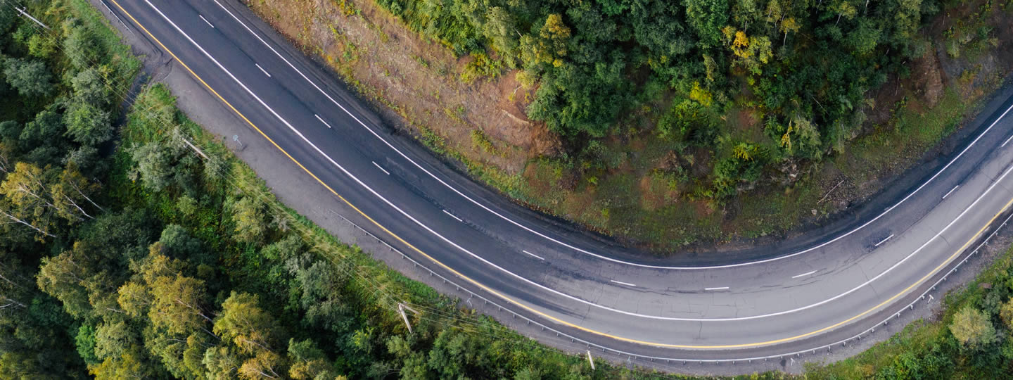 green forest. An illustration of an open box with a plant growing out of it is overlaid on the image
