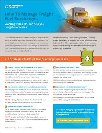 casting long shadows on the road