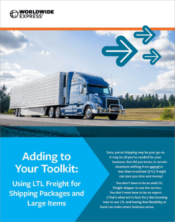 with sunlight streaming in.|A person uses a pallet jack