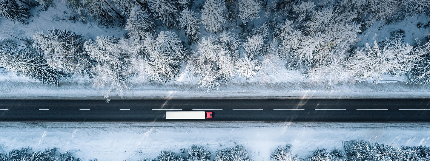 with the snowy forest creating a stark contrast against the dark asphalt