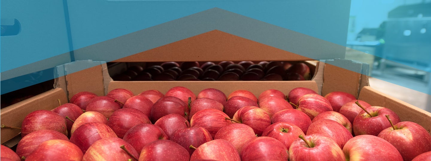 transparent geometric shape overlaying the top of the image.|A person in a blue jacket and gloves holds a clipboard while inspecting pallets of perishable goods in a warehouse. The blurred interior emphasizes the focus on ensuring proper logistics for effective shipping processes.|A box filled with red apples is placed on a table