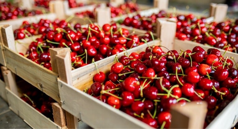 Wooden crates filled with fresh, shiny red cherries with green stems, stacked closely together in a market or storage setting.