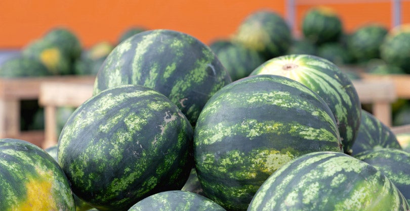 A pile of striped green watermelons stacked together outdoors, ready for FTL freight, with more watermelons and wooden crates blurred in the background.