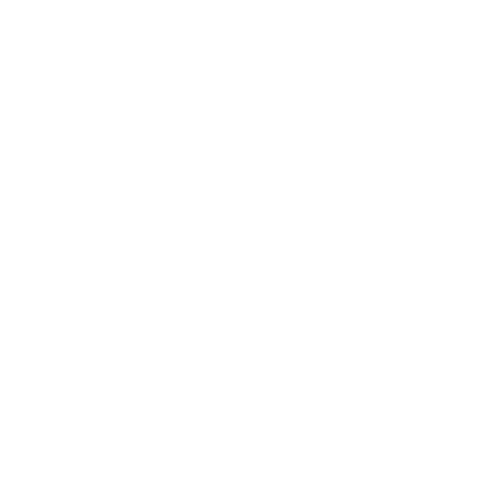 A simple white line drawing of a person raising both arms, with a star above their head and lines radiating from the star, symbolizing achievement or success, on a black background.